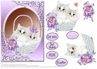 Fluffy Twin Cats in Basket