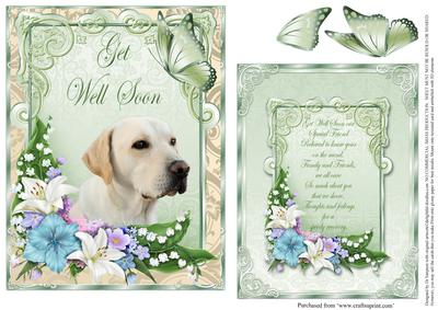 Get Well - to a Special Friend #2