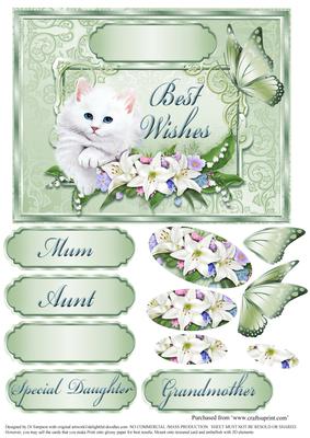 Lovely Puss and Floral -various Occasions