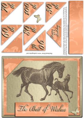 Vintage Horse and Foal Age Card 50-100yrs