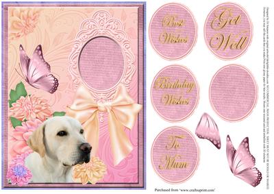 Sweet Puppy for Lots of Occasions