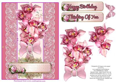 Orchids for a Special Day #2