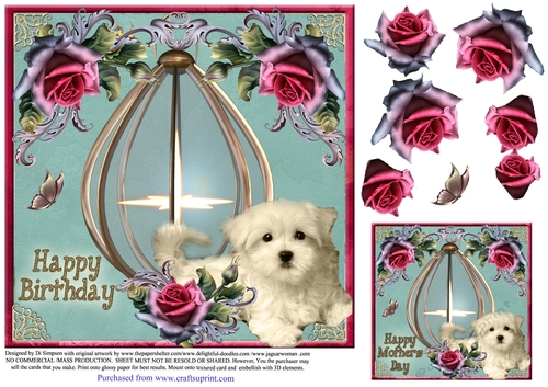 Beautiful Lantern for a Happy Birthday #2