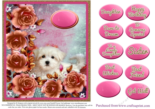 Pretty topper for female for lots of occasions