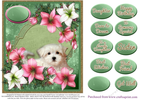 Pretty topper for female for lots of occasions #2