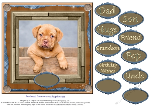So Cute Puppy for Male