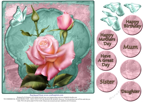 Gorgeous Rose for Mothers Day and lots of occasions #2