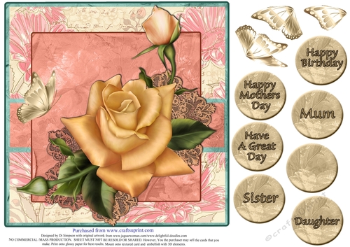Gorgeous Rose for Mothers Day and lots of occasions #4