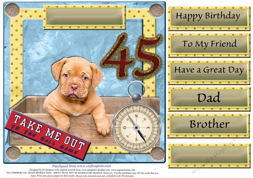 Cute Puppy for 45th Male birthday
