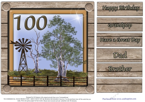 Lovely Aussie theme for 100th Male birthday
