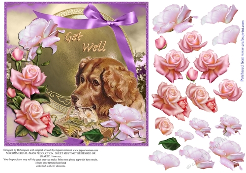 Beautiful Roses for Get Well Female #1