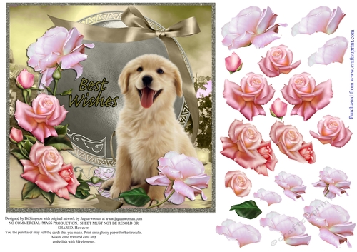 Beautiful Roses for Best Wishes Female #1