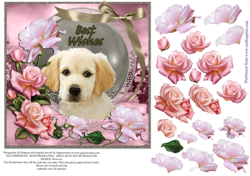 Beautiful Roses for Best Wishes Female #2