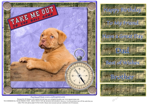 Cute Puppy for  Male birthday or other occasions