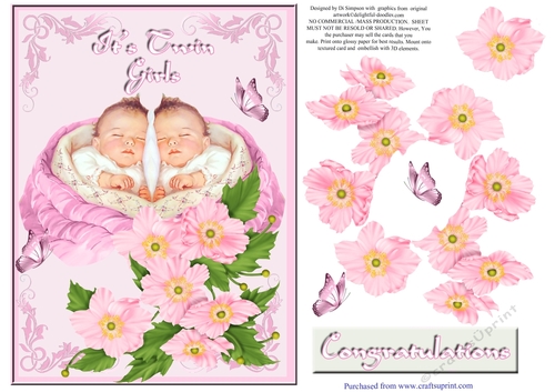 Gorgeous  New Baby Design -Its Twin Girls -#2