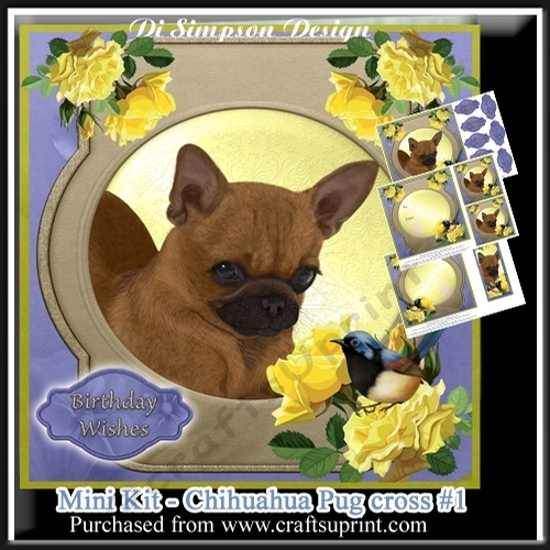 Mini Kit - Cute Chihuahua Pug cross #1- For lots of occasions