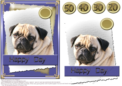 Happy Day #3- Cute Pug