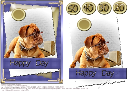 Happy Day #3- Cute Boxer