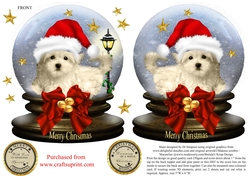 Small Snow Globe for Christmas #28