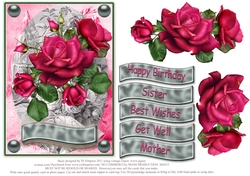 Roses for lots of occasions #1