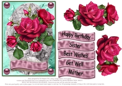 Roses for lots of occasions #2