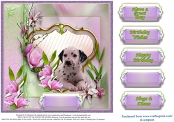 Pretty Card for Lots of Occasions #2