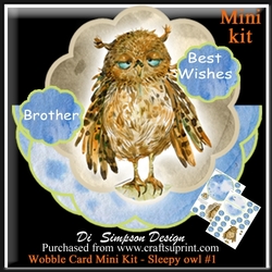 Wobble Card Mini Kit- Sleepy Owl for lots of occasions #1