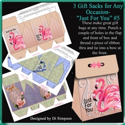 3 Elegant Gift Sacks for Anytime-Just For You #5