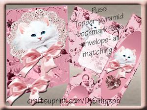 Puss Pyramid Topper-envelope-tags-bookmark