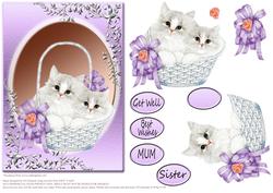 Fluffy Twin Cats in Basket