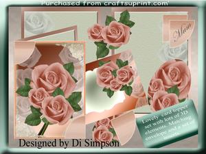 Apricot Roses Kit