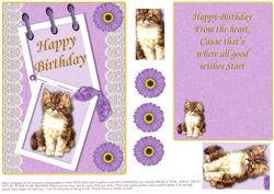 Happy Birthday Kitty and Lace