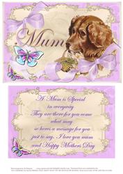 Puppy #2 Topper & Verse-mauve