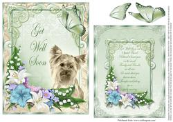 Get Well Soon - to a Special Friend