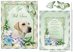 Get Well - to a Special Friend #2