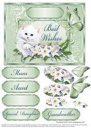 Lovely Puss and Floral -various Occasions