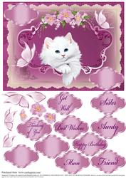 Framed Puss for Various Occasions #2