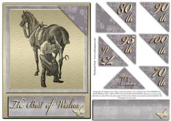 Vintage Farrier with Horse Age Card 70 -100