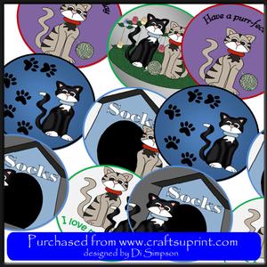Coasters - So Cute Cats