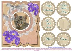 So Cute Puss for Lots of Occasions #2