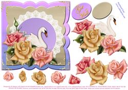 Edwardian Rose & Beautiful Swan- Get Well
