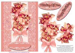 Orchids for a Special Day #3