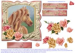 Serene Horse for Lots of Occasions