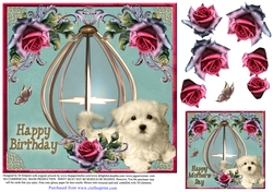 Beautiful Lantern for a Happy Birthday #2