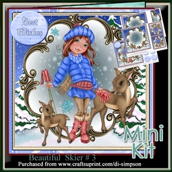 Mini Kit- Beautiful Skier #3