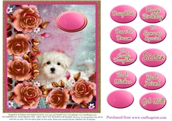 Pretty topper for female for lots of occasions