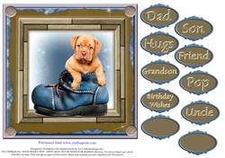 So Cute Puppy in Boot for Male