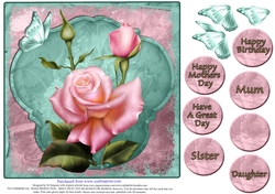 Gorgeous Rose for Mothers Day and lots of occasions #2