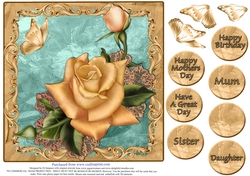 Gorgeous Rose for Mothers Day and lots of occasions #3