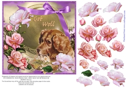 Beautiful Roses for Get Well Female #1